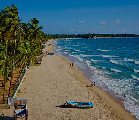5 Family-Friendly Routes in Sri Lanka You’ll Love